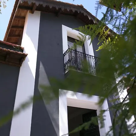 Nwt Paradise Urban Auberge de jeunesse Alicante