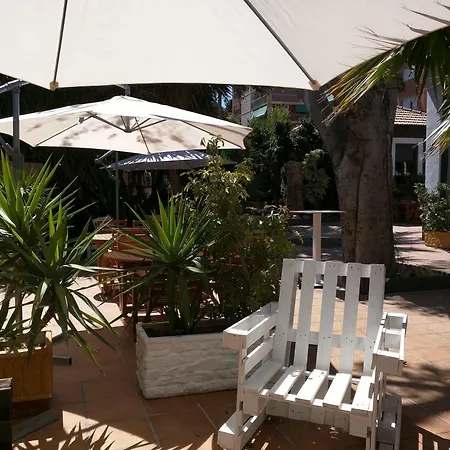 Nwt Paradise Urban Auberge de jeunesse Alicante